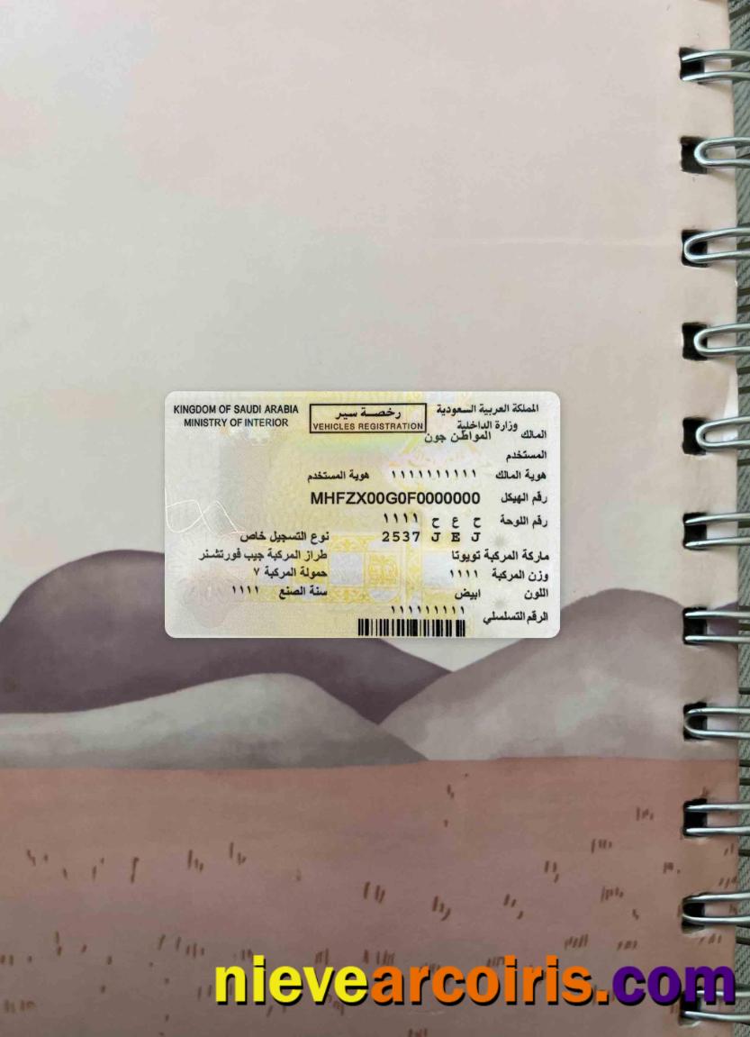 Saudi Arabia vehicles registration photolook